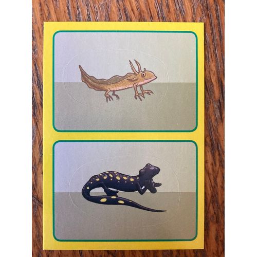 (4328) Image Panini 278ab Animaux 2014/2015 