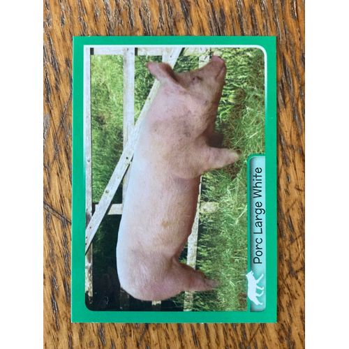 (4204) Image Panini 345 Animaux 2014/2015 
