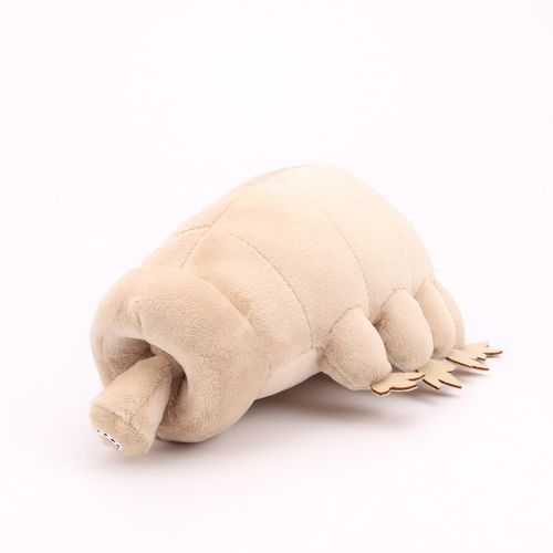 Jouet En Peluche De L'aigle De Mer Les Plus Puissantes De La Faune Couleur Ours Aquatique Taille 25cm Poids 0.13kg Livraison Gratuite
