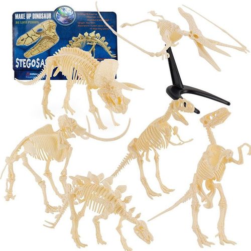 Modèle De Squelette De Dinosaure En Plastique Pour Enfants Jouet D'histoire Naturelle De Triple Apeur De Velocité De Dragon 6 Pièces Couleur De Squelette De Dinosaure