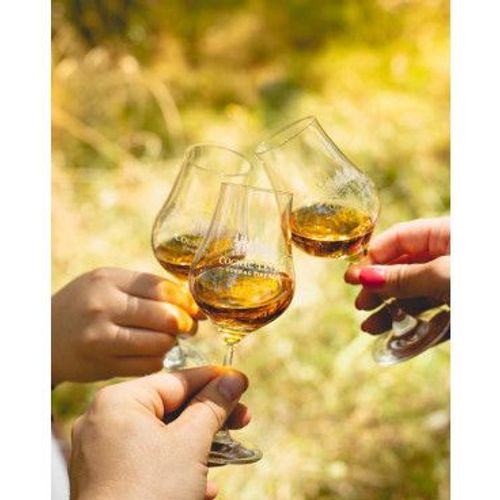 Verres À Cognac