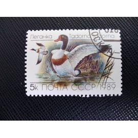 Timbre Russie /Urss Yt 5641 Tadorne De Belon (Tadorna Tadorna) 1989 (010209 )