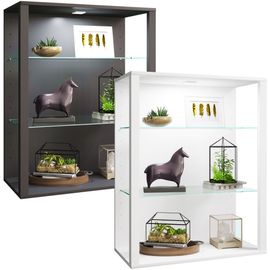 Vcm Bois Verre Vitrine Murale Vitrine Suspendue Vitrine De Collection Vitrine Vitrine Sur Pied Vitrine Glasol Lw