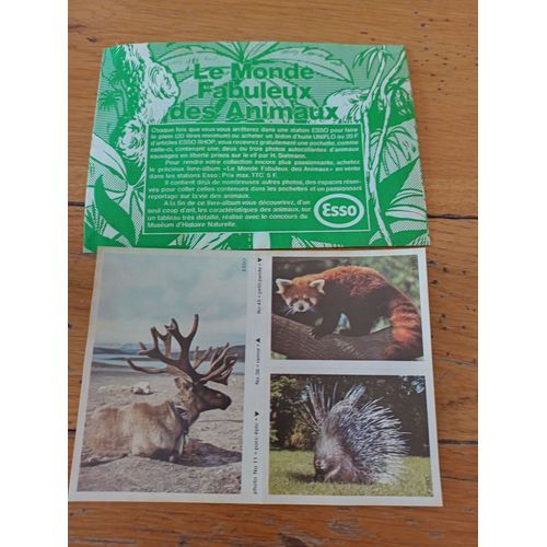 Autocollants - Le Monde Fabuleux Des Animaux - Esso