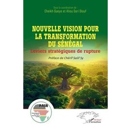 Nouvelle Vision Pour La Transformation Du Sénégal - Leviers Stratégiques De Rupture
