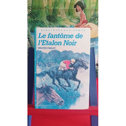 Le Fantôme De L'étalon Noir, 1986, Bibliothèque Verte