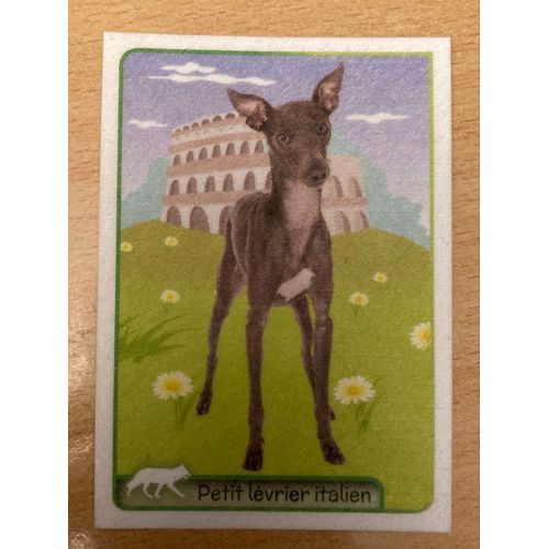 (4041) Image Panini 214 Animaux 2014/2015 
