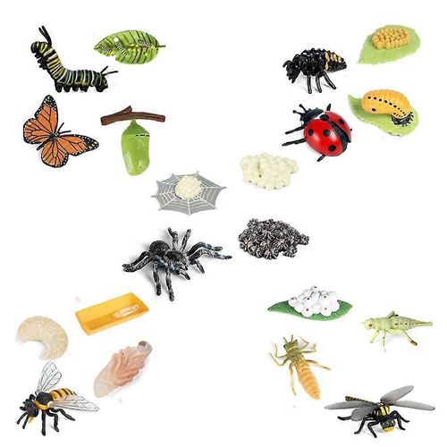 Figurines De Vie De Papillon Araignée Abeille, Insecte En Plastique Insectes Figures Jouet, Projet Scolaire