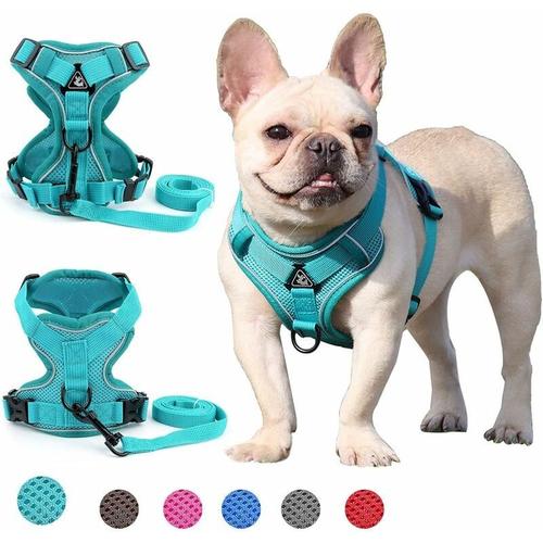 Harnais Ckngfv Pour Chiens De Petite Et Moyenne Taille (Vert L)