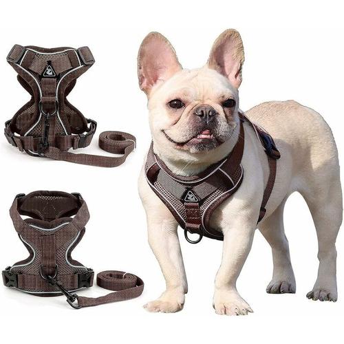 Harnais Ckngfv Pour Chiens De Petite Et Moyenne Taille (Marron M)