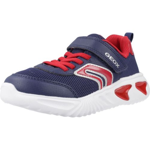 Chaussures Geox J Assister Boy Colour Bleu