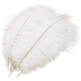 10 Pcs Plumes D¿Autruche Naturelles, Pour La Décoration De Table De Fête De Mariage