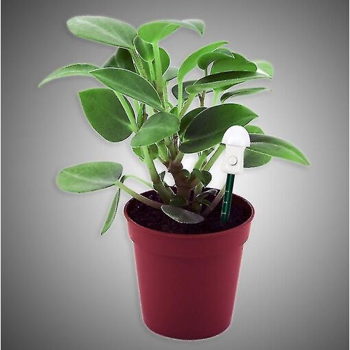 Moniteur d'humidité du sol Alarme Hygromètre Humidité Mètre Plante ...