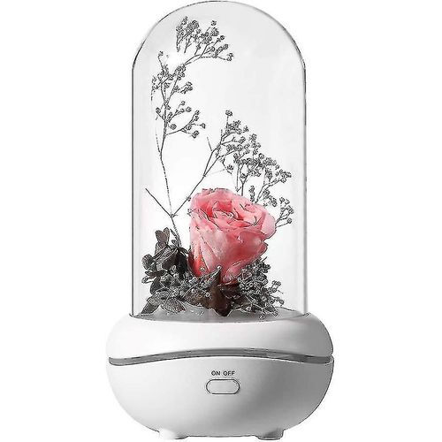Parfum Préservé, Lampe Portable, Rechargeable, Diffuseur D¿Arôme Usb Pour La Maison, Le Bureau, La Chambre À Coucher