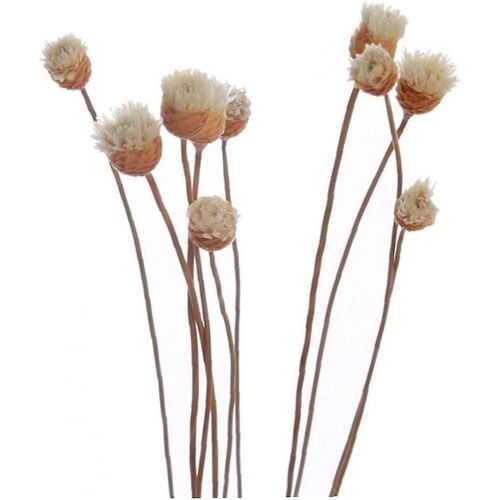 20 Pcs / set Diffuseur Rattan Flower Sticks Bud Rose Rose Rattan Sticks For Essential Oil Diffus