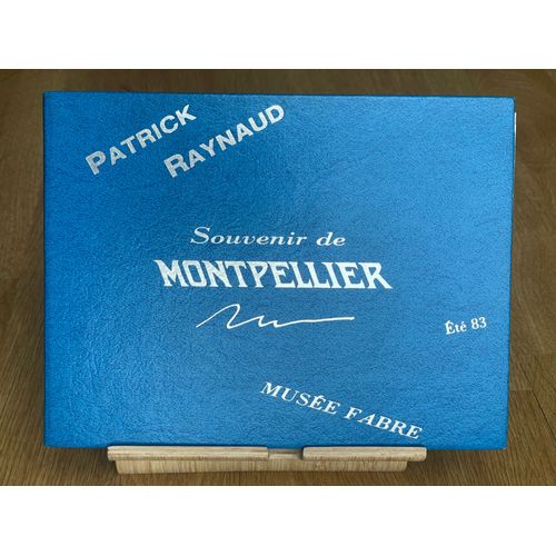 Souvenir De Montpellier. Patrick Raynaud Sculptures. Été 83. Musée Fabre