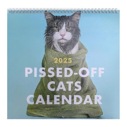 2025 Chat Énervé Calendrier Chat Drôle Calendrier Mural Chat Calendrier Mural Chats Calendrier Mural 2025 Calendrier Chat Desktop Calendrier