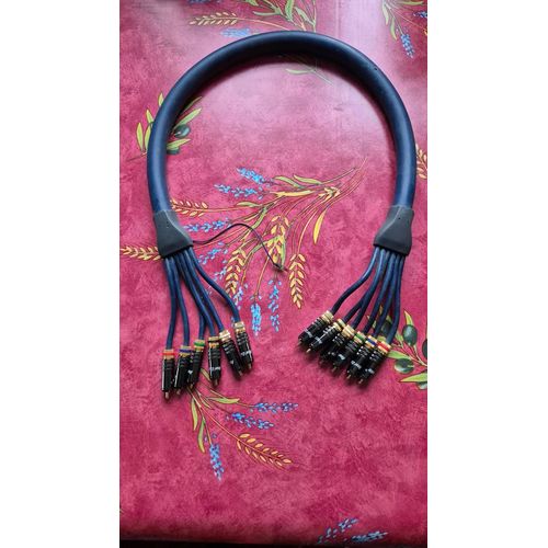 Câble RCA 5.1