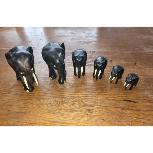 Famille éléphants
