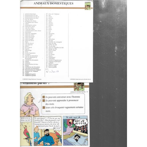 Fiches Tintin Atlas Animaux Domestiques 85 Fiches
