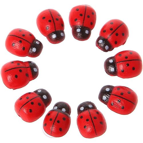 Décoration De Jardin 10 Pièces Mini Coccinelle Rouge Coccinelle Coccinelle Fée Maison Décoration De Jardin