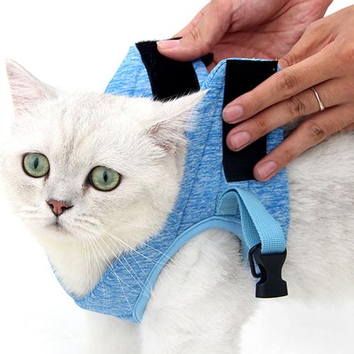 Harnais Et Laisse Ultralégers Pour Chat, Collier Pour Chaton, Gilet De Course Doux Et Confortable Pour Chats, Anti-Fuites, Convient Aux Chiots Et Aux Lapins (Gris, M)