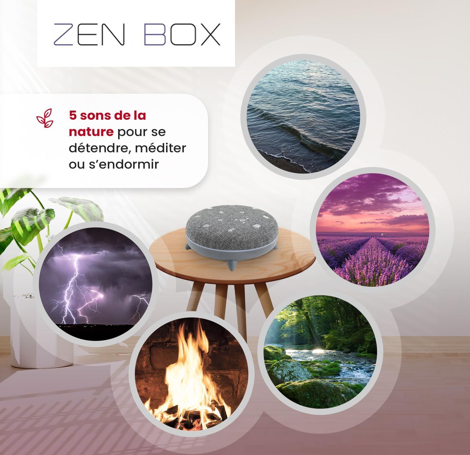 Terraillon Zen Box_2
