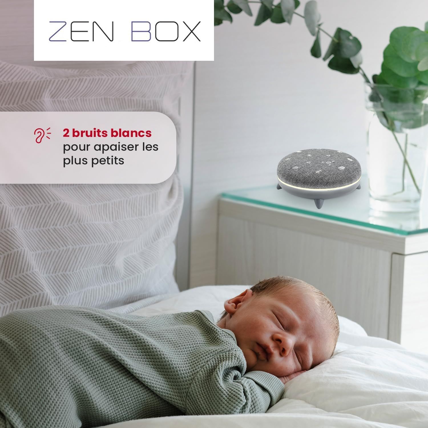 Terraillon Zen Box_3