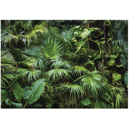 Papier Peint Panoramique Intissé Jungle Vert 250x175 cm - Colle Inclus - Chambre et Salon - Moderne Papier Peint