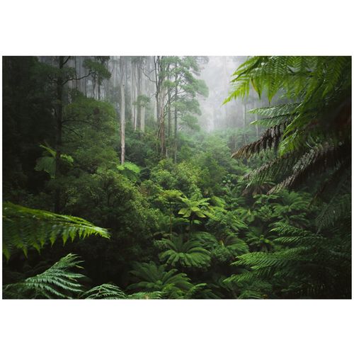 Papier Peint Panoramique Intissé Foret Jungle 400x280 cm - Colle Inclus - Chambre et Salon - Moderne Papier Peint