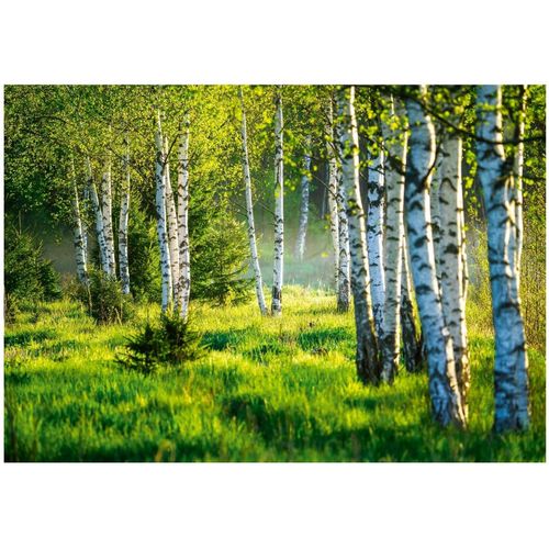 Papier Peint Panoramique Intissé Foret Vert 350x250 cm - Colle Inclus - Chambre et Salon - Moderne Papier Peint