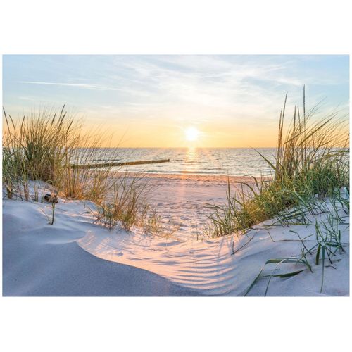 Papier Peint Panoramique Intissé Plage Mer 300x210 cm - Colle Inclus - Chambre et Salon - Moderne Papier Peint