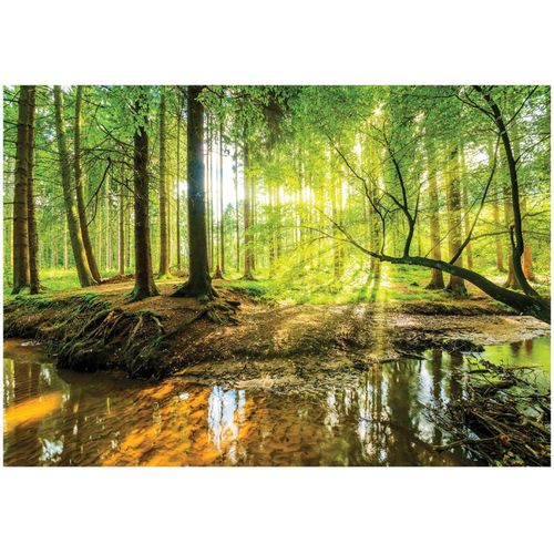 Papier Peint Panoramique Intissé Vert Foret 350x250 cm - Colle Inclus - Chambre et Salon - Moderne Papier Peint