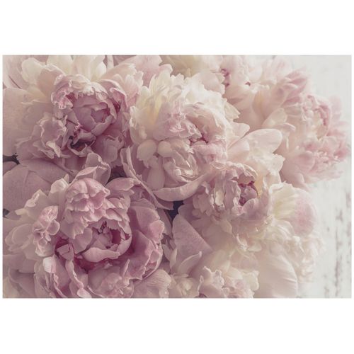 Papier Peint Panoramique Intissé Fleurs 250x175 cm - Colle Inclus - Chambre et Salon - Moderne Papier Peint