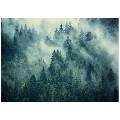 Papier Peint Panoramique Intissé Vert Foret 400x280 cm - Colle Inclus - Chambre et Salon - Moderne Papier Peint