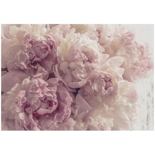 Papier Peint Panoramique Intissé Fleurs 400x280 cm - Colle Inclus - Chambre et Salon - Moderne Papier Peint