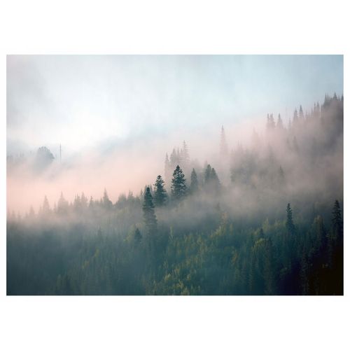 Papier Peint Panoramique Intissé Vert Foret 400x280 cm - Colle Inclus - Chambre et Salon - Moderne Papier Peint