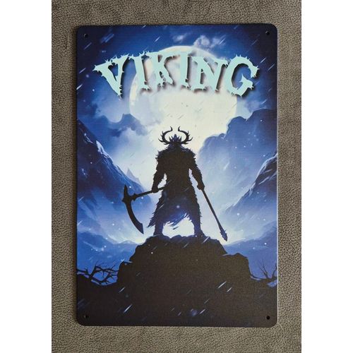 Plaque métallique décorative Viking