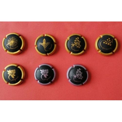 Lot 7 Capsules Champagne Mousseux