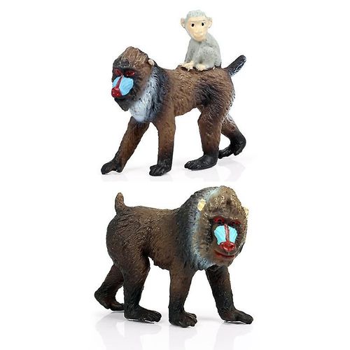 Modèle En Pvc Simulation D¿Animaux Sauvages Singe Fini Goods Collection Cognition Jouet Pour Enfants