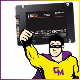 dekoelektropunktde 250 Go Disque Dur SSD adaptée pour Compaq Presario C797,  Remplacement Alternatif