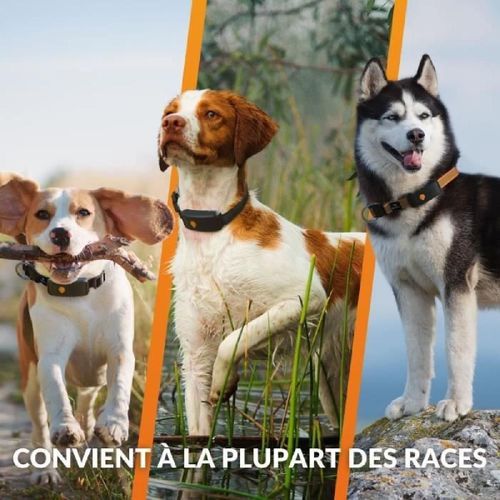 Collier Gps Pour Chien - Weenect Chien Xt - Antenne Xl - Etanche - Collier Julius-K9 - Fonctionne Avec Abonnement - Noir
