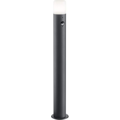 Trio Leuchten Hoosic Lampadaire D'extérieur En Aluminium Anthracite/Blanc.[G821]