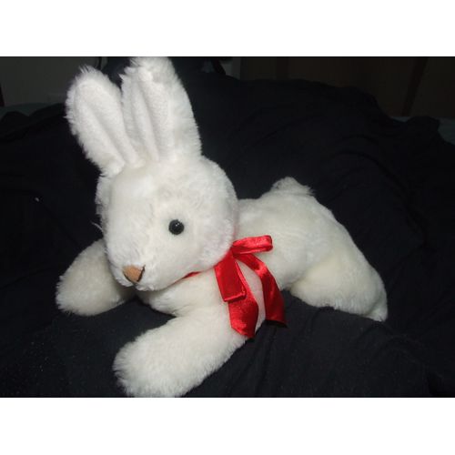 Lapin Gepruft Blanc Noeud Rouge