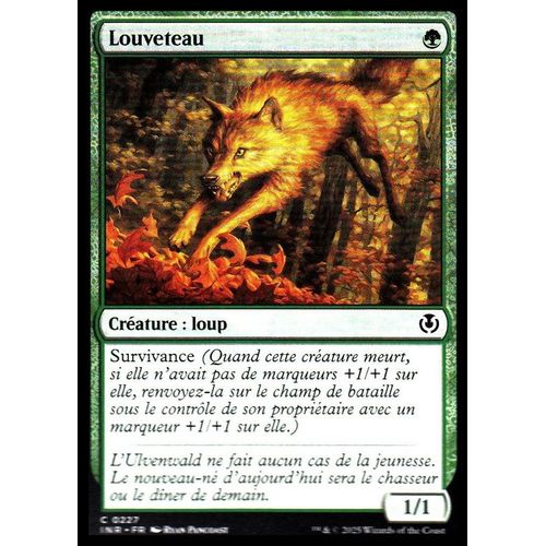 Louveteau - Magic - Innistrad Remastered Vf - C - 227