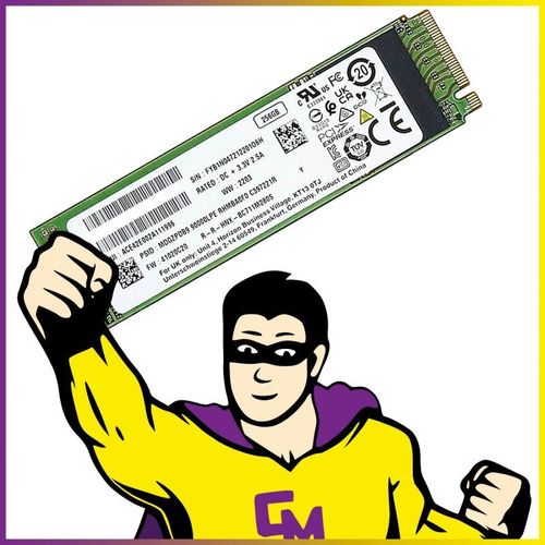 SSD NVMe M.2 256 Go SK Hynix HFS256GDE9X080N PCIe