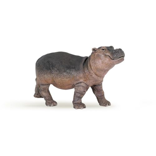 La Vie Sauvage Bébé Hippopotame