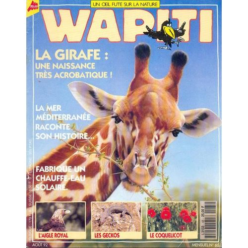 Wapiti N°65 - La Girafe: Une Naissance Tres Acrobatique - La Mer Mediterranee Raconte Son Histoire - Fabrique Un Chauffe-Eau Solaire - L'aigle Royal - Les Geckos - Le Coquelicot