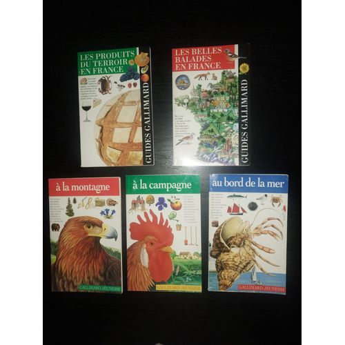 Lot De 5 Guides Gallimard