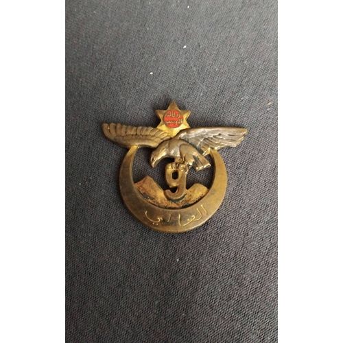 Insigne 9 Ème Régiment De Tirailleurs Algerien Drago